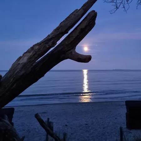 Bragi - Odins Blick 15 - Direkt Am Privatstrand, Mit Sauna Und Garten